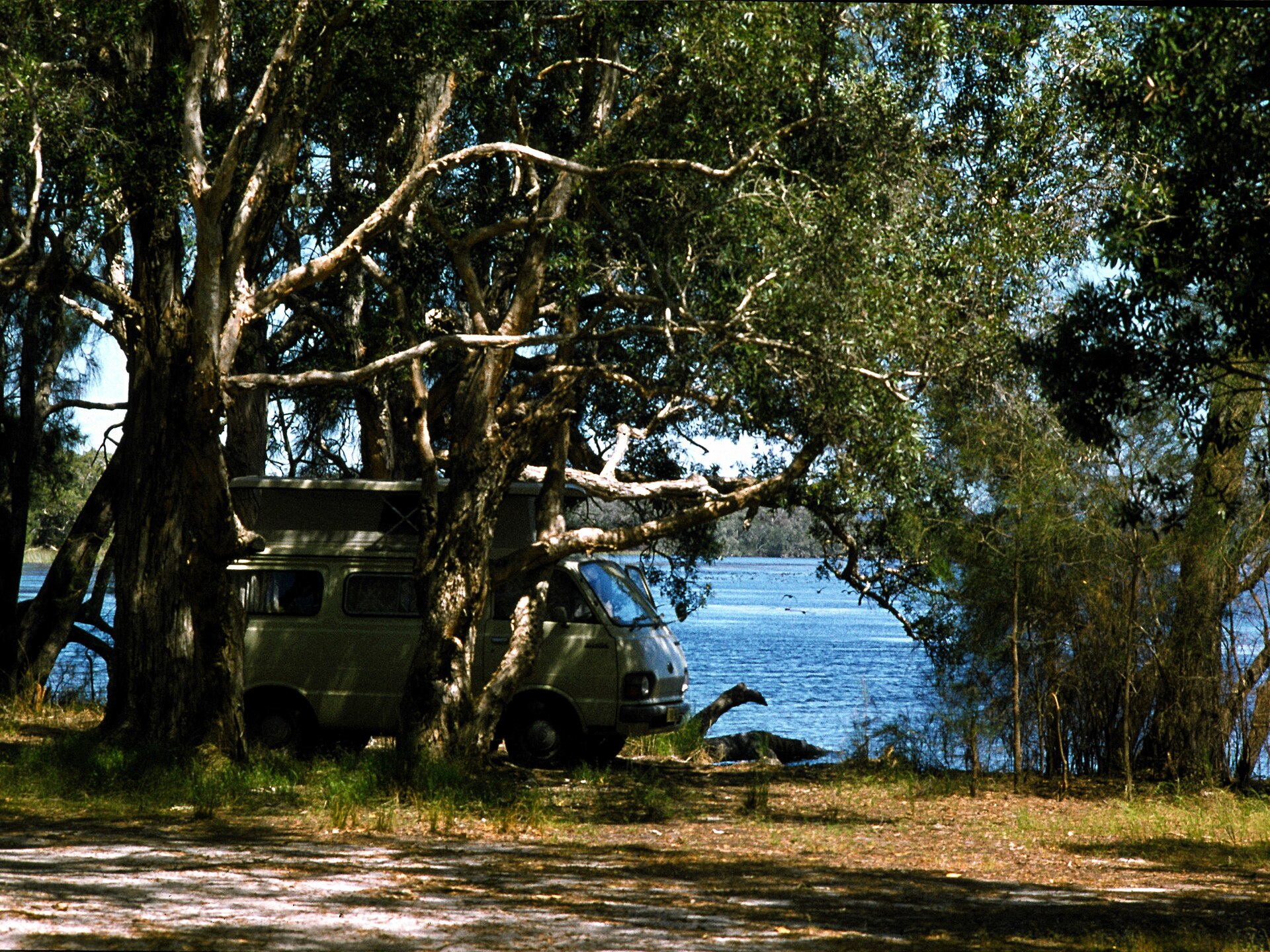 Myall Lakes National Park, near Bungwahl